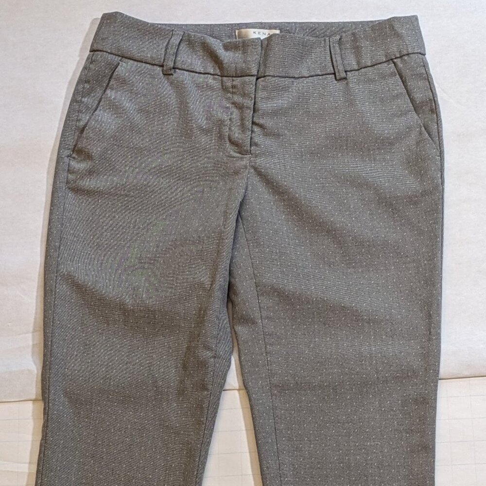 Kenar Gray Pin Dot Ankle Dress Pant Size 6